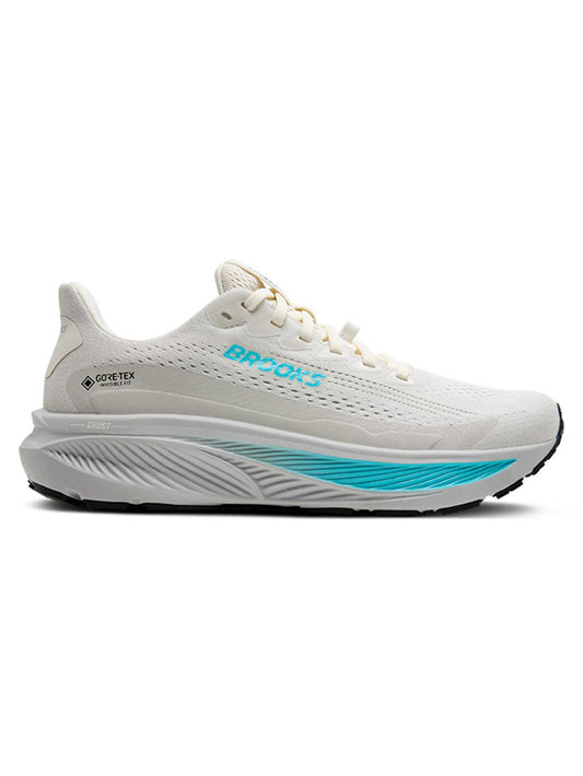 Brooks Ghost 17 Gtx